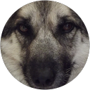 Patri PATRI profile picture